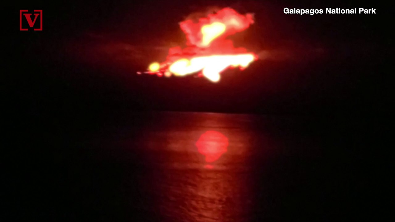 Shocking Footage Shows Galapagos Volcano Erupting, Threatening Wildlife
