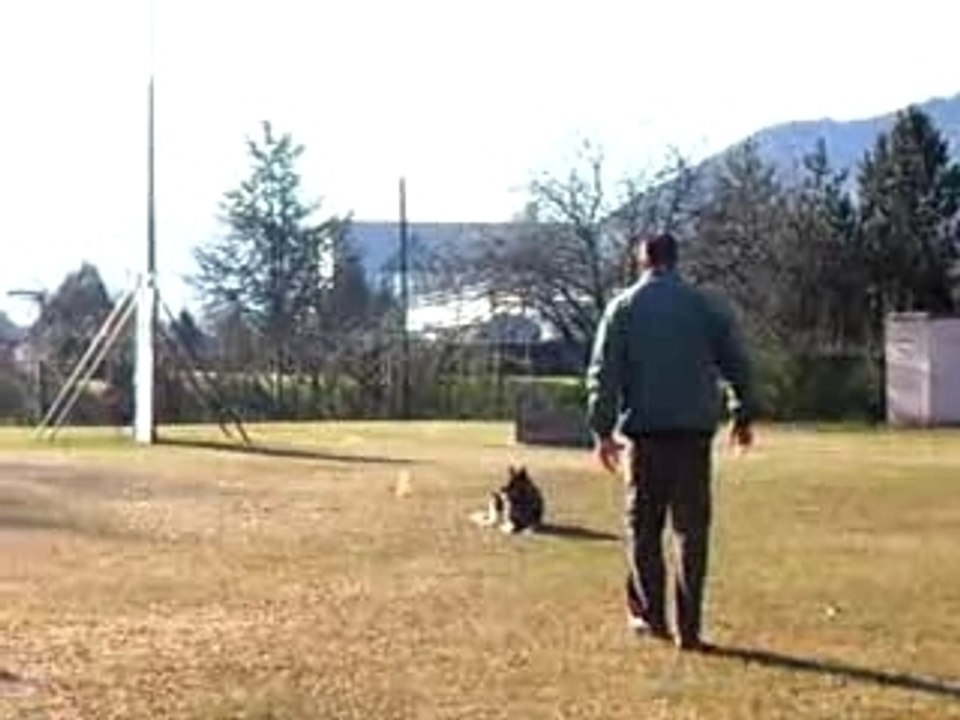 Entrainement OBE