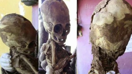 Fingerprints Of The Nephilim The Earth Born