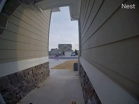 Ding Dong Ditcher Licks Doorbell Camera
