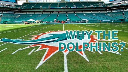 Tom Brady To Dolphins? Why QB Does (And Doesn't) Make Sense For Miami