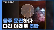 [영상] 음주 운전하다...난간 뚫고 다리 아래로 추락 / YTN