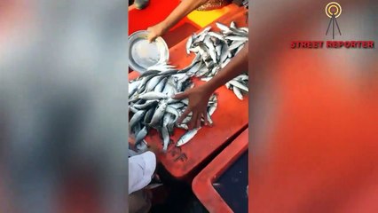 Fishri, karachi. Reasonable prices (Dec 2019) .Must watch & share it.