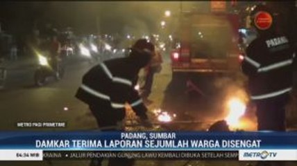 Damkar Padang Musnahkan Sarang Tawon Vespa yang Berada di Tengah Jalan