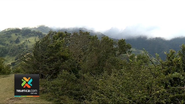tn7- Fuertes vientos han alcanzado hasta los 119 Km-H en algunas zonas de Guanacaste-130120