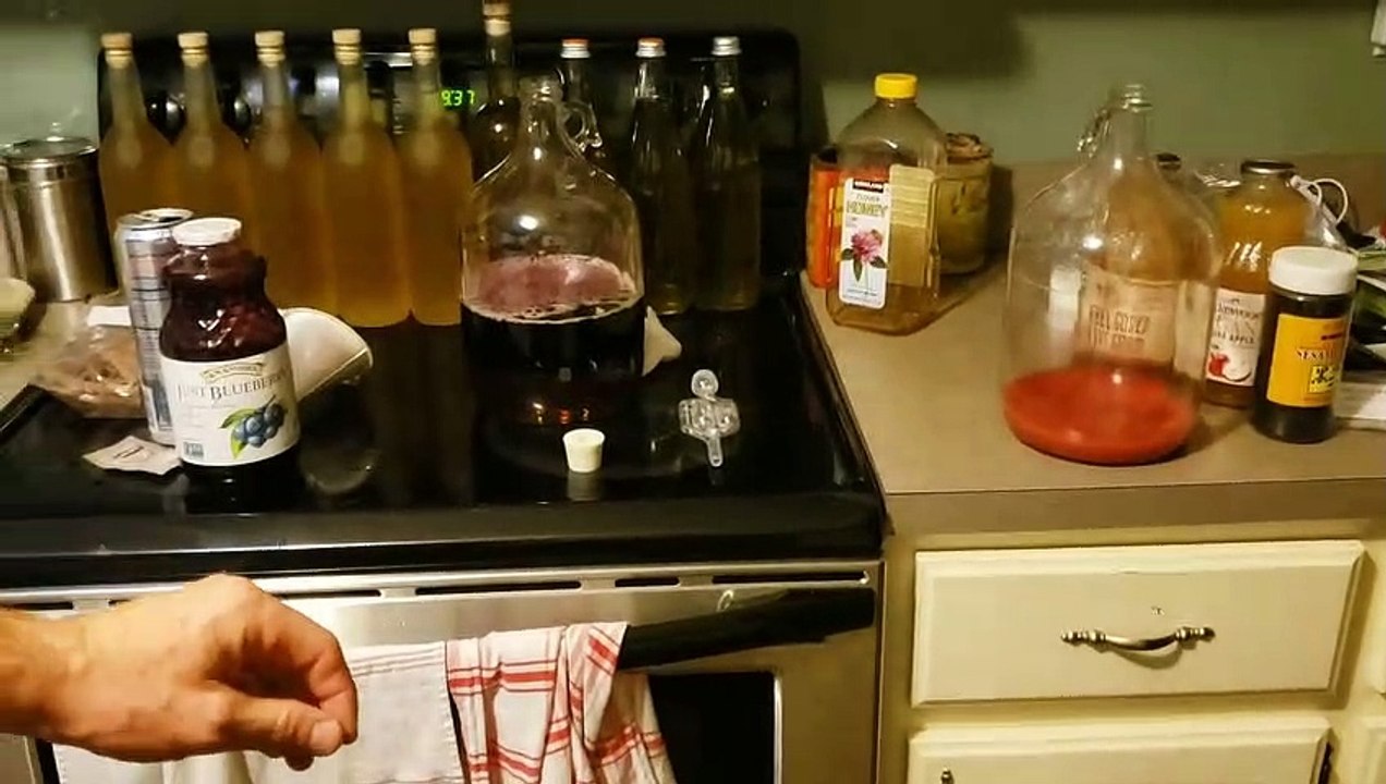 DIY Mead Making: Redbull, Blueberry, Cinnamon, Honey
