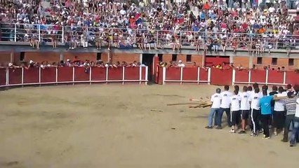 'capeia soito 2012