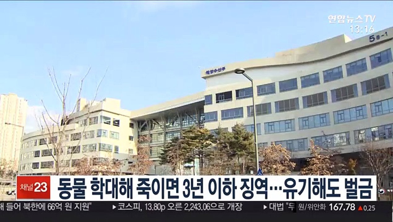 동물 학대해 죽이면 3년 이하 징역…유기해도 벌금