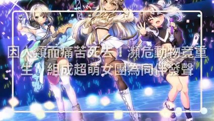 CollectionVideo-petmao_curation-copy1-PetsMaoParser-2020/01/14-09:30