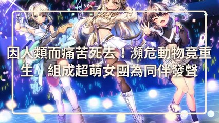 CollectionVideo-petmao_curation-copy4-PetsMaoParser-2020/01/14-09:30