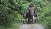 Indonesia’s ‘elephant cops’ on patrol to prevent human-animal clashes