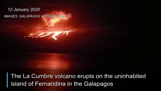 Volcano in the Galapagos erupts