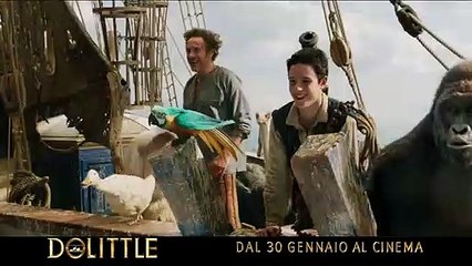 Dolittle Film - Un gatto è sempre un gatto