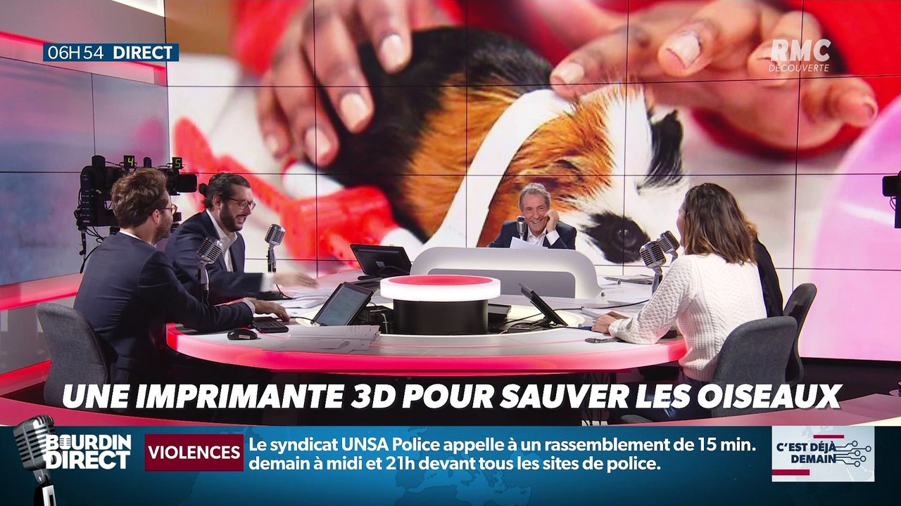 La chronique de Nina Godart : Une imprimante 3D pour sauver les oiseaux - 14/01