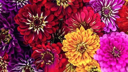 Power of emotional intelligence