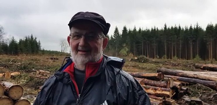 Les scolytes frappent de plein fouet les forêts du Haut-Doubs