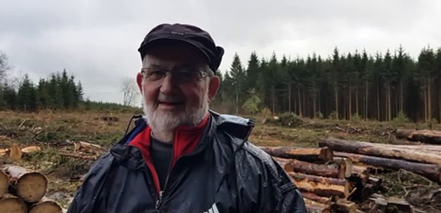 Les scolytes frappent de plein fouet les forêts du Haut-Doubs