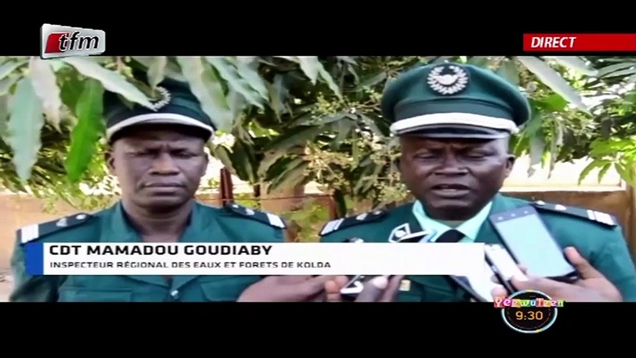 RUBRIQUE ENVIRONNEMENT avec THIORO MBAR NDIAYE dans YEEWU LEEN du 14 Janvier 2020