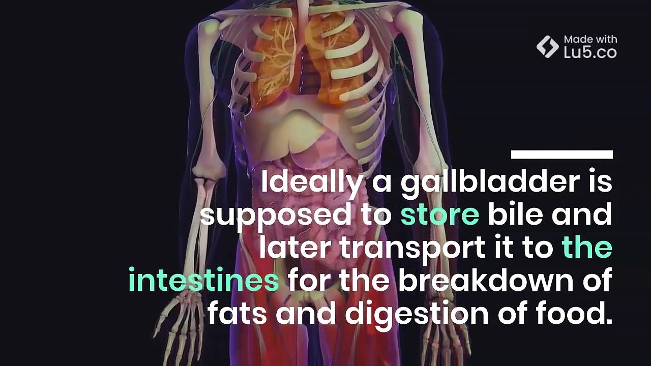 Gastroenterology_Doc