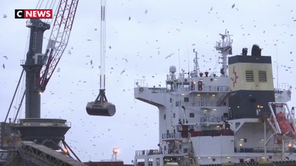 L’opération « port mort » met à l’arrêt la raffinerie de Donges