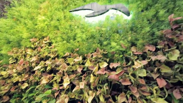 2 &3 BHK Flats in Balewadi - Mahalunge Pune | Naiknavare Developers