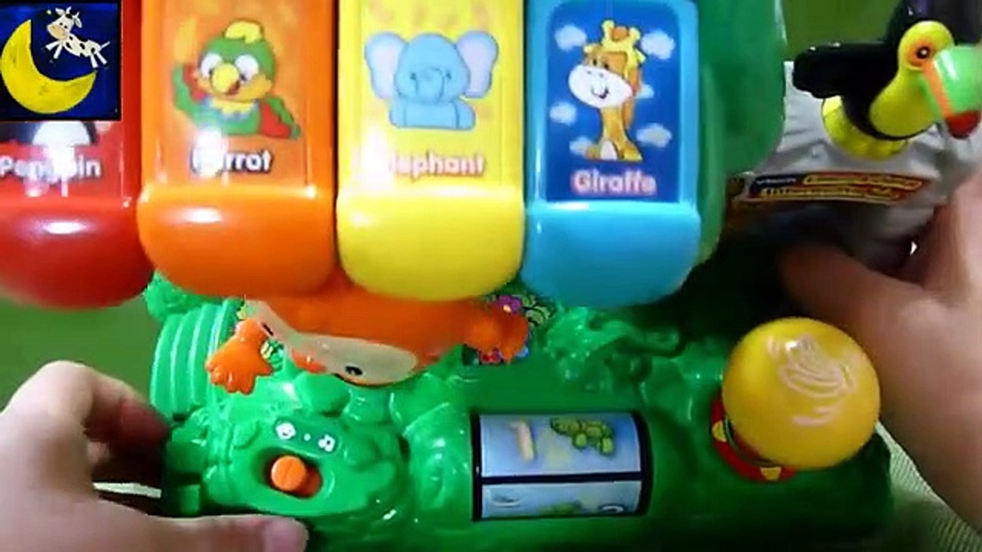 Vtech learn cheap and dance zoo