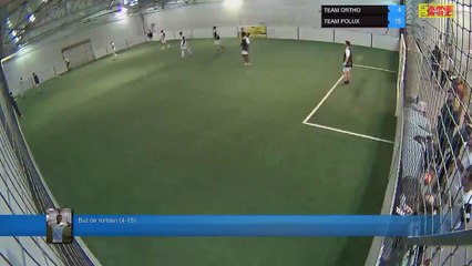But de romain (4-15) - TEAM ORTHO Vs TEAM POLUX - 13/01/20 19:00 - LIGUE 1 - Poitiers Game Parc