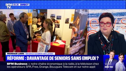 Réforme: davatange de seniors sans emploi ? - 14/01
