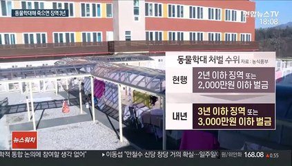 동물 학대 징역 3년까지…아파트 맹견 사육 허가제 검토