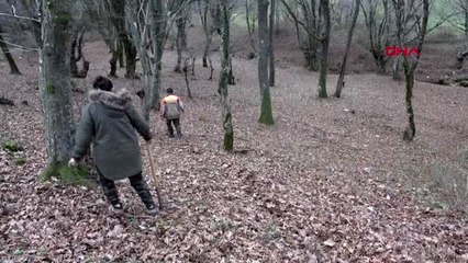 Kırklareli 'arthur', dünyanın en pahalı mantarı trüf avlıyor