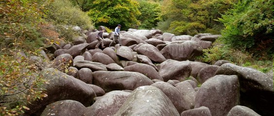 The Shelburn Network / Le Réseau Shelburn (2020) - Trailer (French)