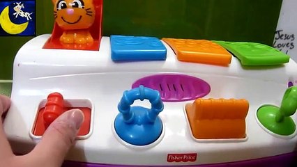 Fisher-Price Bobble and Giggle Animals Pop Up (Best Pop Up Toy for Babies-)