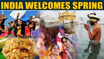 Pongal, Makar Sankranti, Lohri, Maghi: India celebrates the onset of Spring | OneIndia News