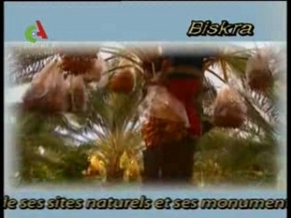 Biskra Eden d'Algérie - Biskra -