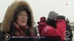 Allemagne : une île de la mer du Nord berceau des bébés phoques