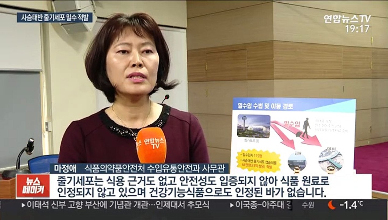 사슴태반 줄기세포가 뭐길래…33억원어치 밀수 적발