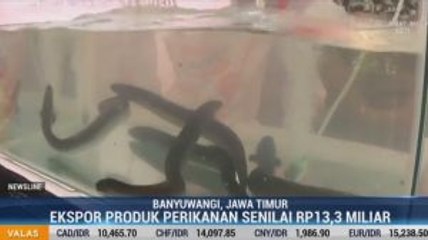 KKP Lepas Ekspor Produk Perikanan Senilai Rp13,3 Miliar