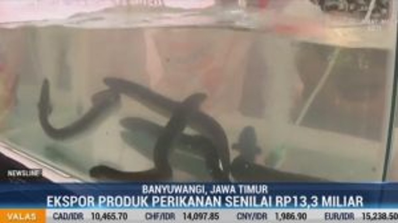 KKP Lepas Ekspor Produk Perikanan Senilai Rp13,3 Miliar