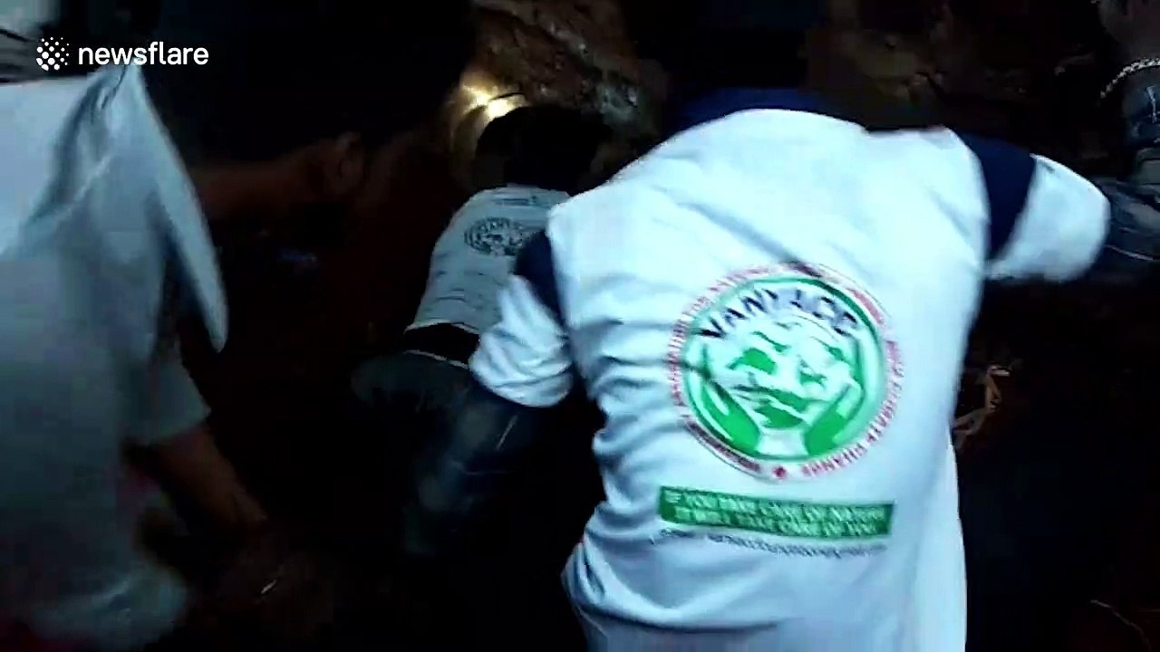 Six pythons rescued from underground concrete piping in east India