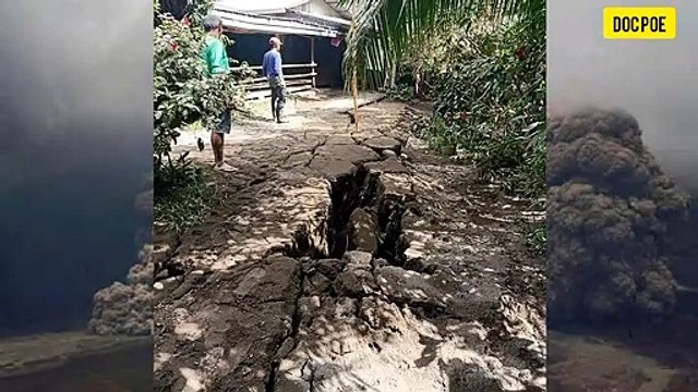 TRISTE DESTINO PARA ANIMALES ABANDONADOS DESPUÉS DE ERUPCIÓN DEL VOLCÁN TAAL | FILIPINAS