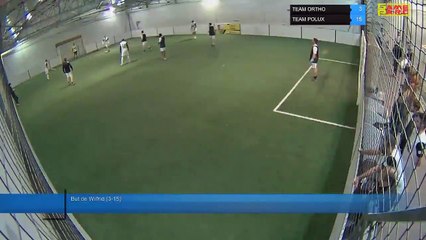 But de Wilfrid (3-15) - TEAM ORTHO Vs TEAM POLUX - 13/01/20 19:00 - LIGUE 1 - Poitiers Game Parc