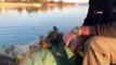 Sapanca Gölü’ne atılan ağlar ördek ve balıkları telef etti
