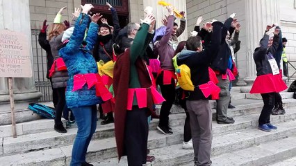 Dordogne : les enseignants de Périgueux dansent le "Lac des Cygnes" pour protester contre la réforme des retraites