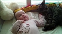Ne sachant que faire du bébé qui s’est réveillé près de lui, ce chat finit par tomber.