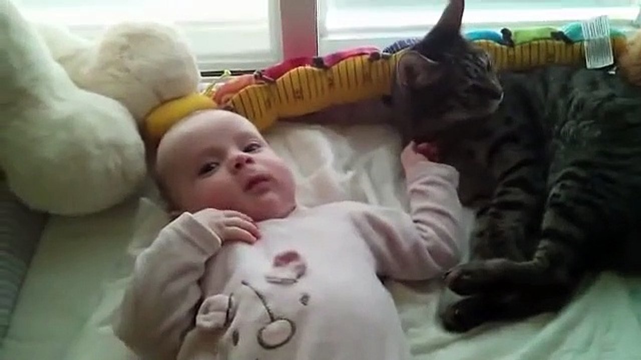 Ne sachant que faire du bébé qui s’est réveillé près de lui, ce chat finit par tomber.