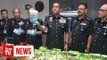Bukit Aman makes first big drug bust of 2020