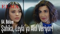 Leyla'nın akıl hocası... - Yasak Elma 64. Bölüm