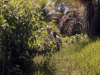 UM ANIMAL AMARELO | TEASER OFICIAL | 2020 NOS CINEMAS