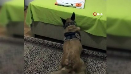 Evin her köşesinden uyuşturucu çıktı