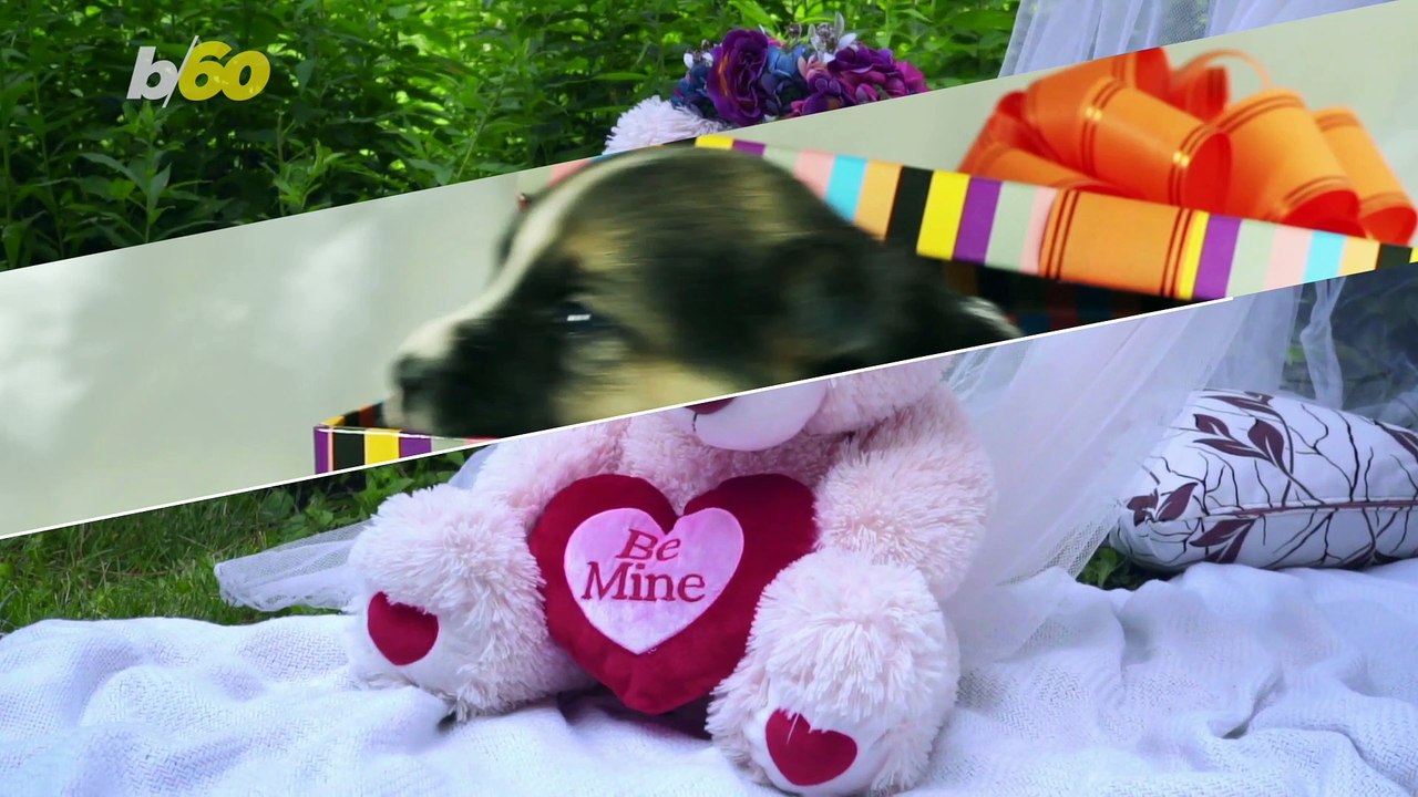 Valentine’s Day Gifts You Should Never Ever Give… NEVER!